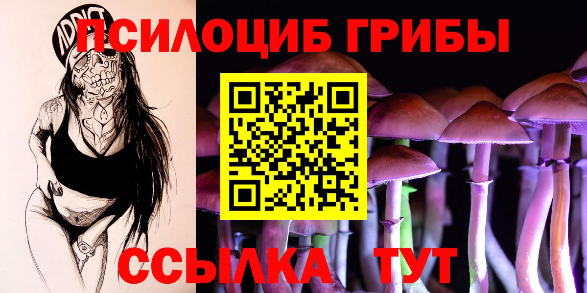 Бийск  Галлюциногенные грибы Psilocybine cubensis  Вход с VPN 