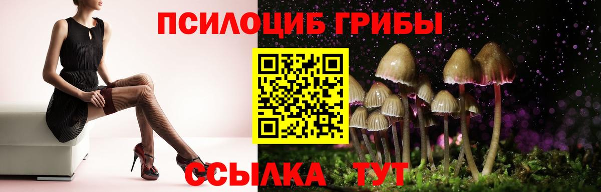 Псилоцибиновые грибы мухоморы Бийск